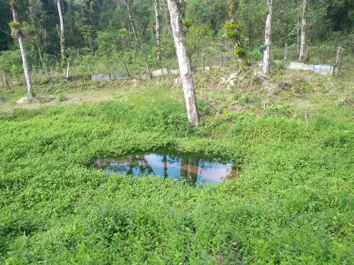 Fazenda à venda com 3 quartos, 58000m² - Foto 8