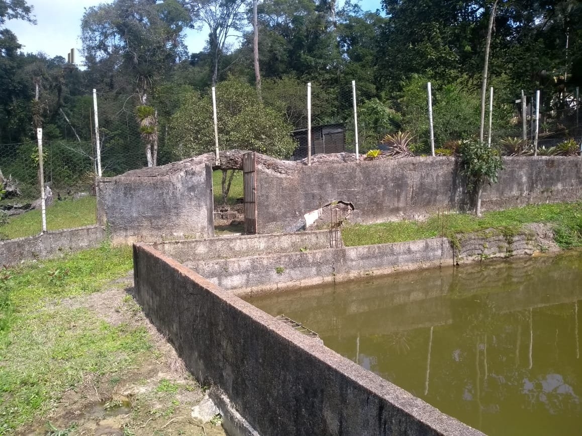 Fazenda à venda com 3 quartos, 58000m² - Foto 10