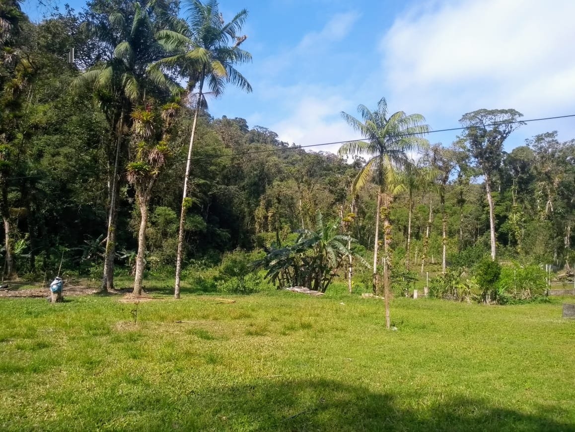 Fazenda à venda com 3 quartos, 58000m² - Foto 5