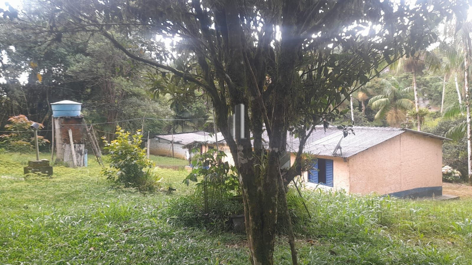 Sítio à venda com 3 quartos, 140800m² - Foto 10