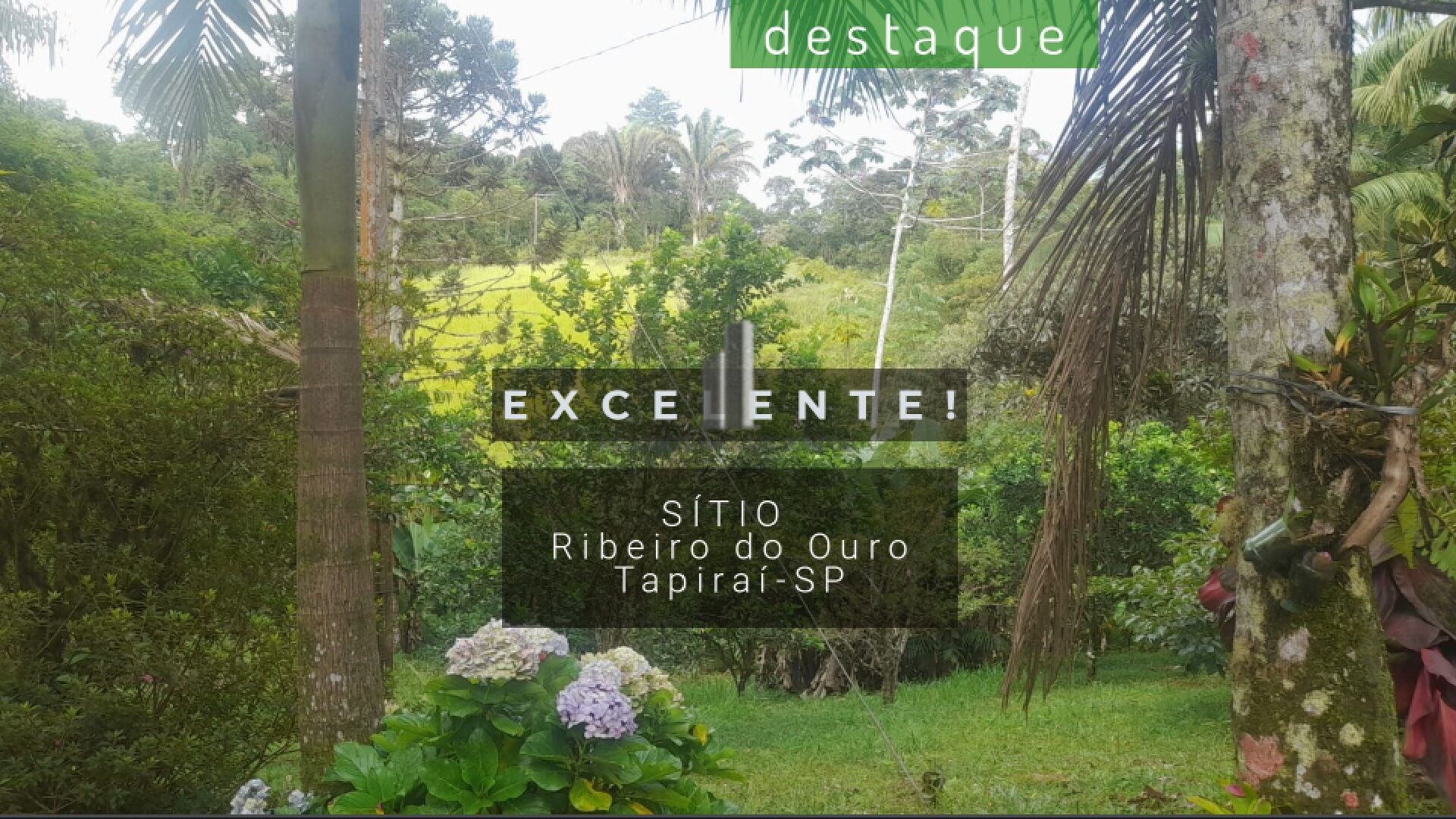 Sítio à venda com 3 quartos, 140800m² - Foto 1
