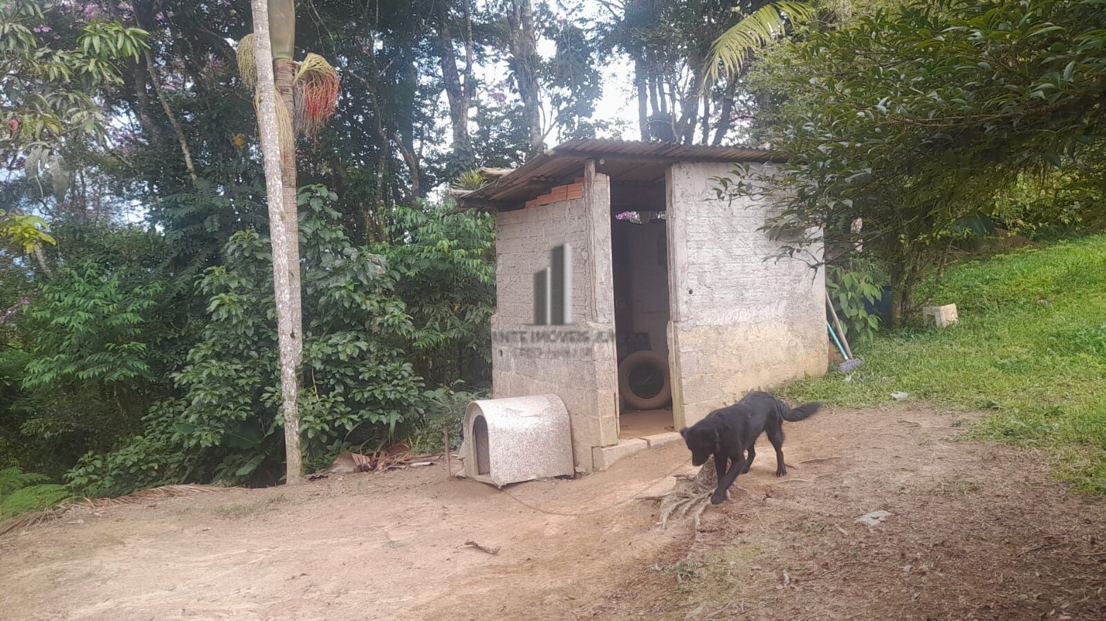 Sítio à venda com 3 quartos, 140800m² - Foto 7