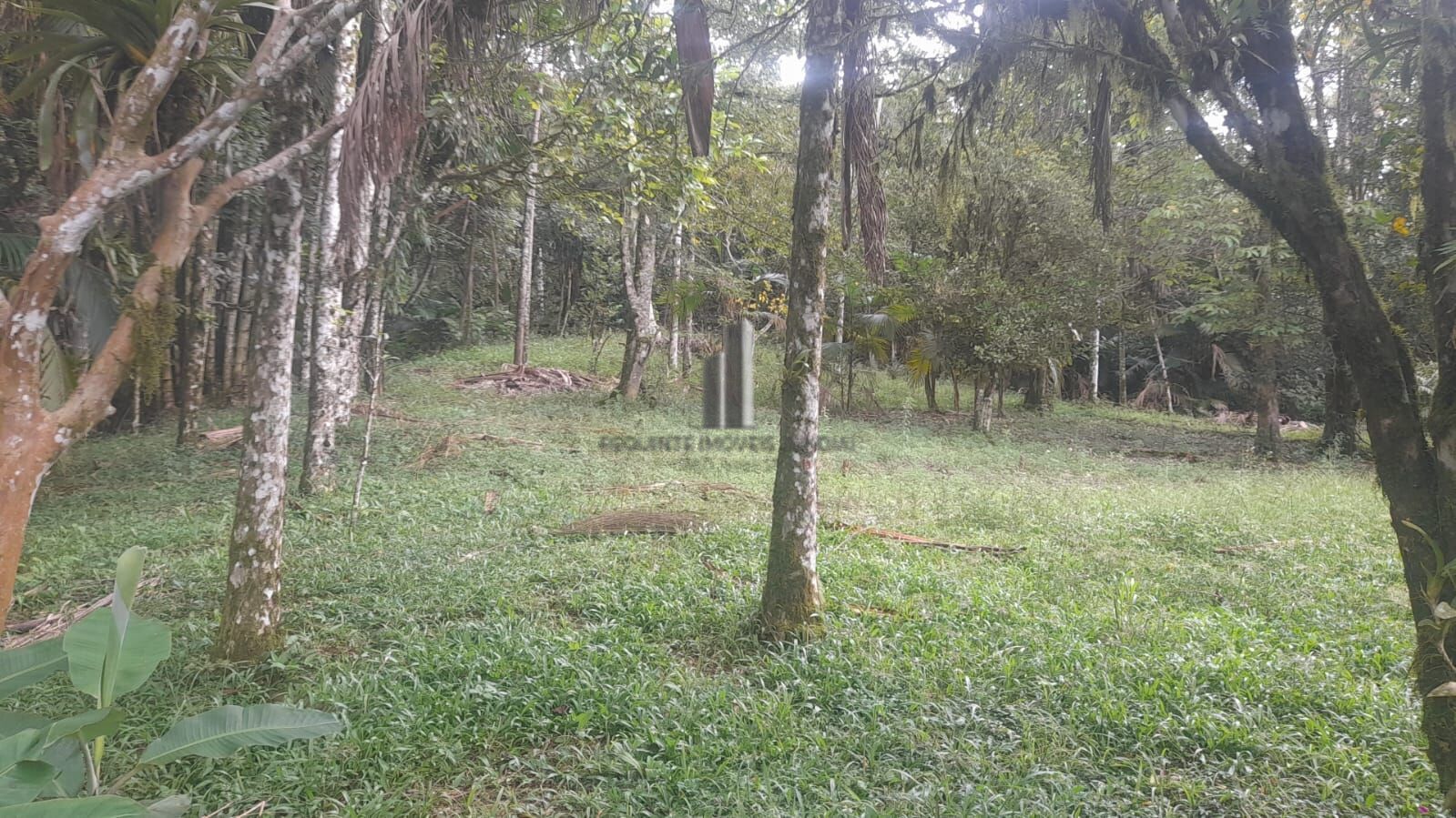 Sítio à venda com 3 quartos, 140800m² - Foto 4