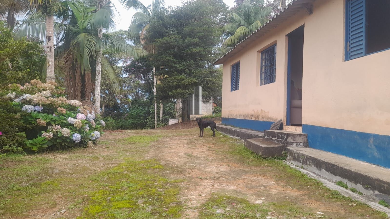 Sítio à venda com 3 quartos, 140800m² - Foto 11