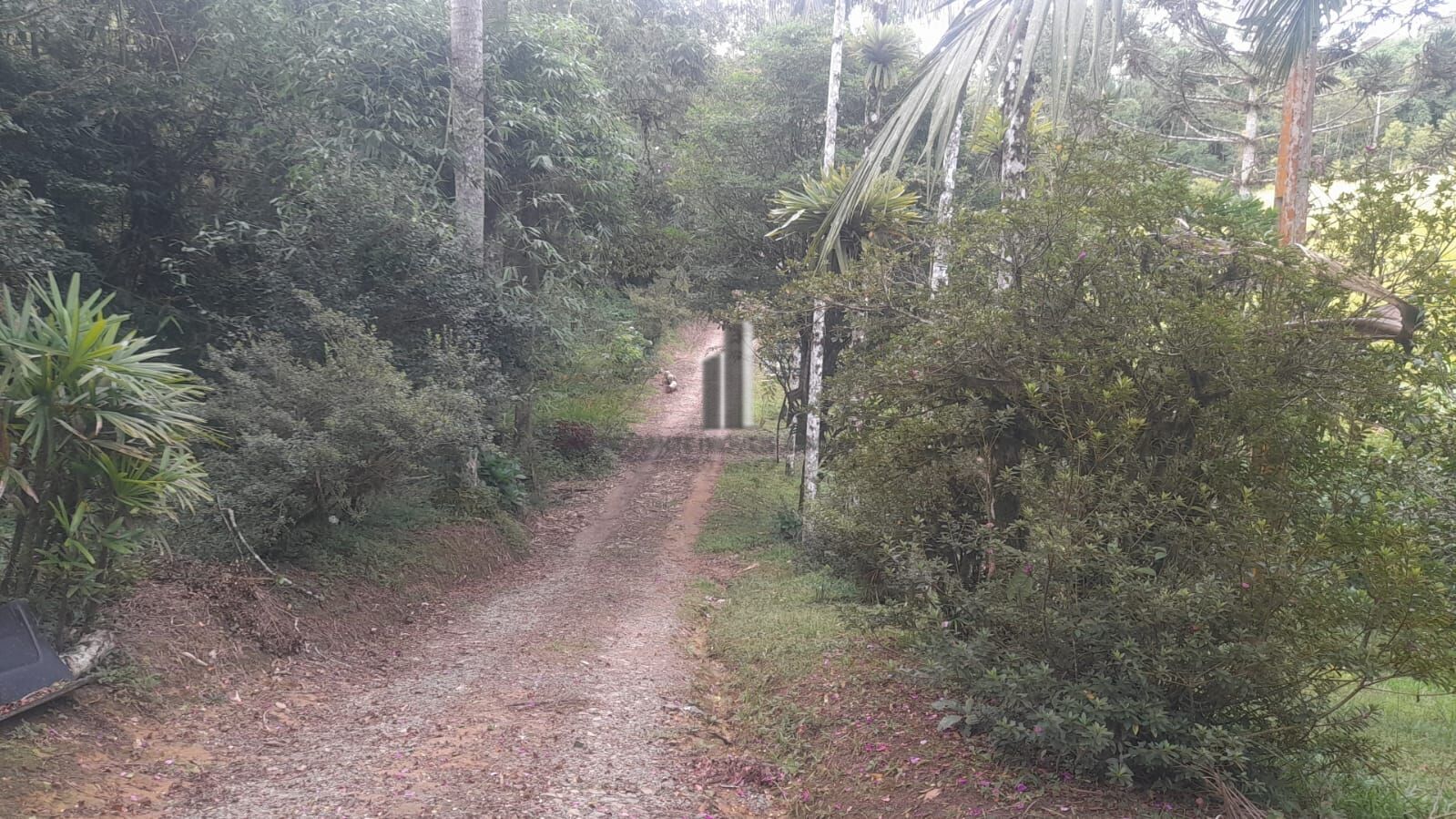 Sítio à venda com 3 quartos, 140800m² - Foto 6