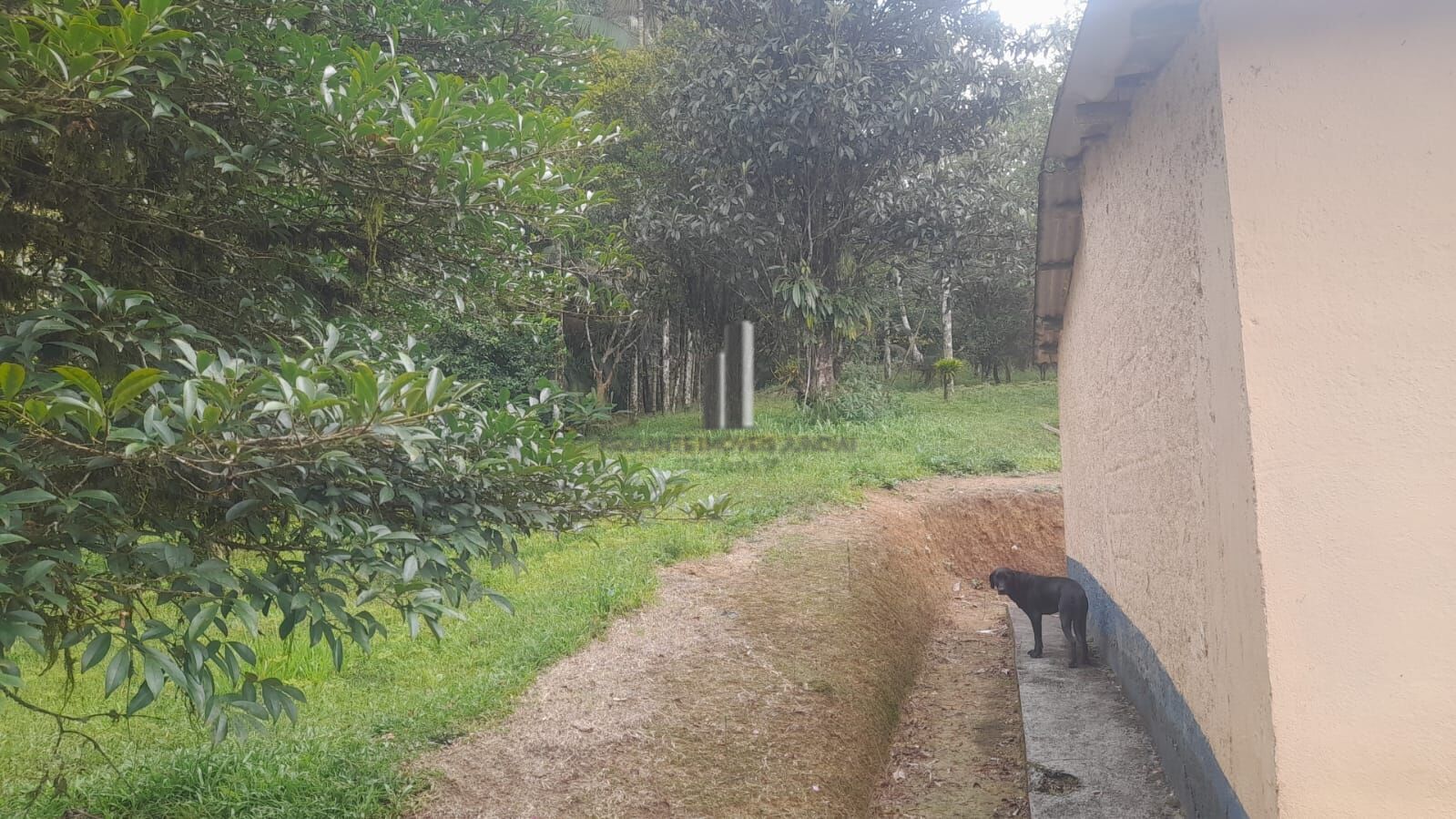 Sítio à venda com 3 quartos, 140800m² - Foto 5