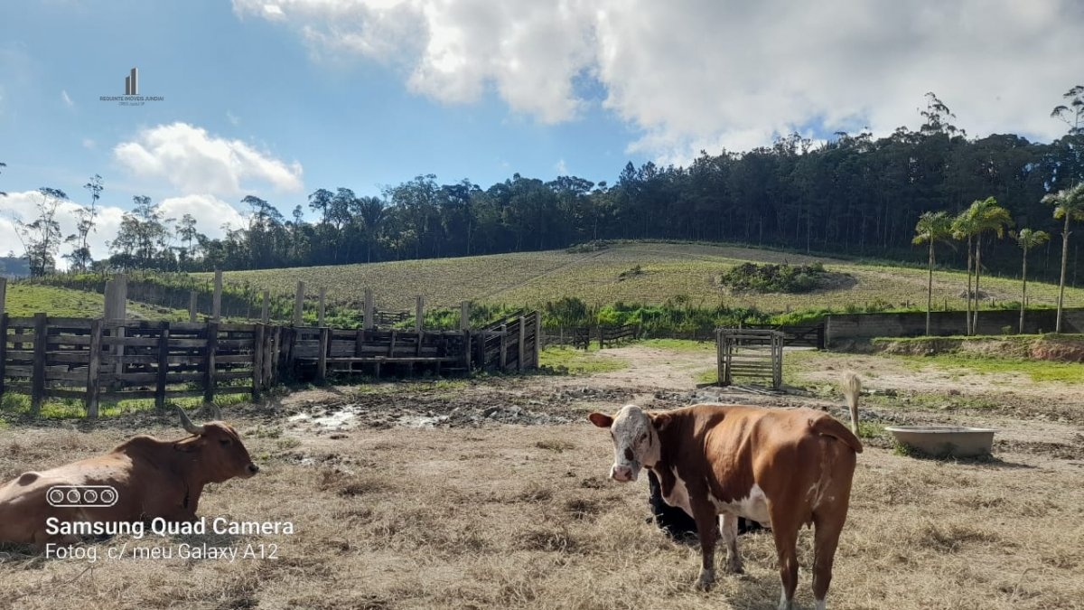 Fazenda à venda, 300m² - Foto 14