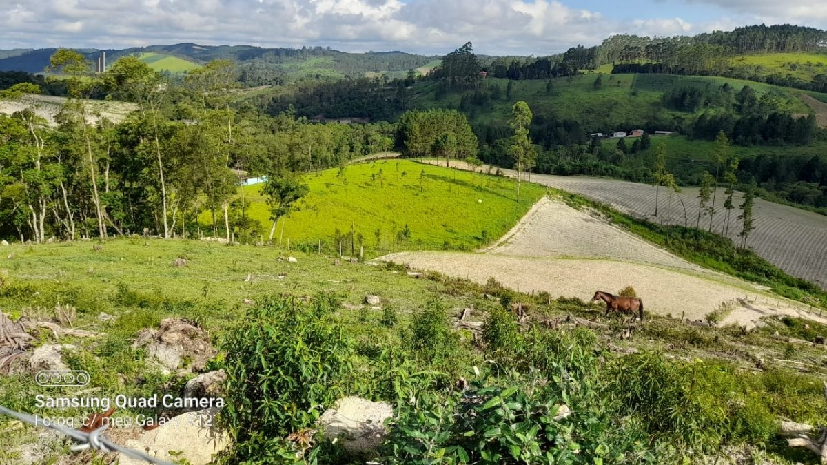 Fazenda à venda, 300m² - Foto 6