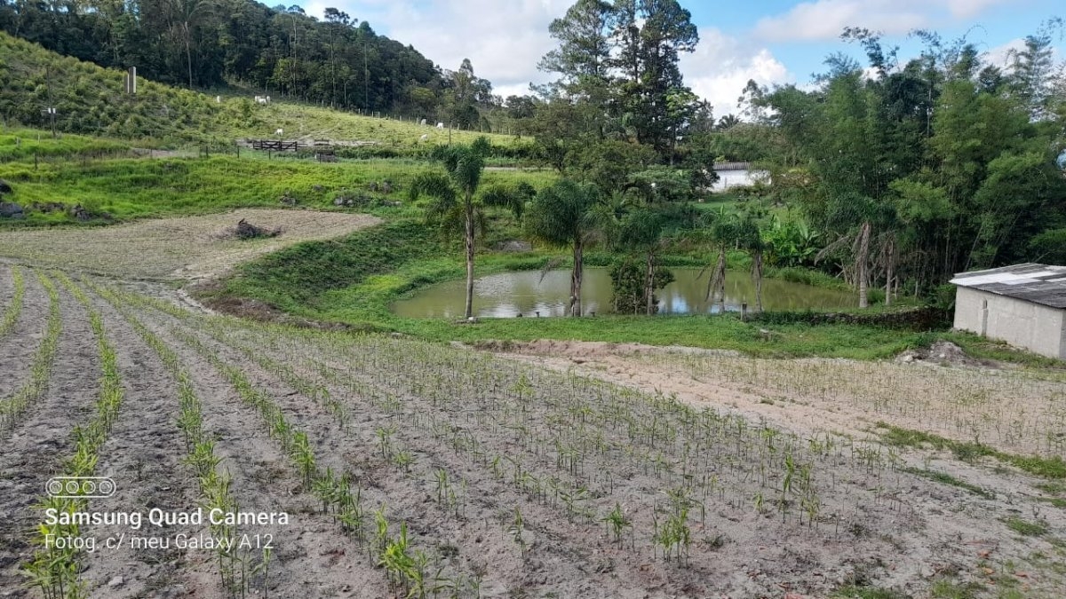 Fazenda à venda, 300m² - Foto 2