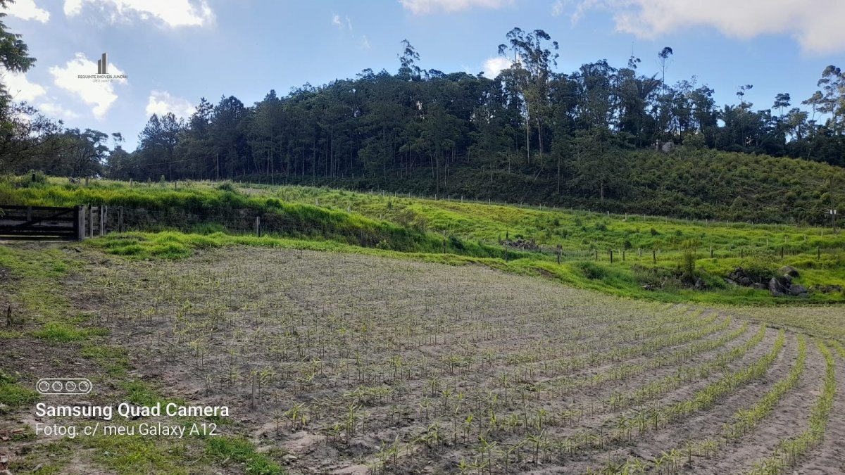 Fazenda à venda, 300m² - Foto 4