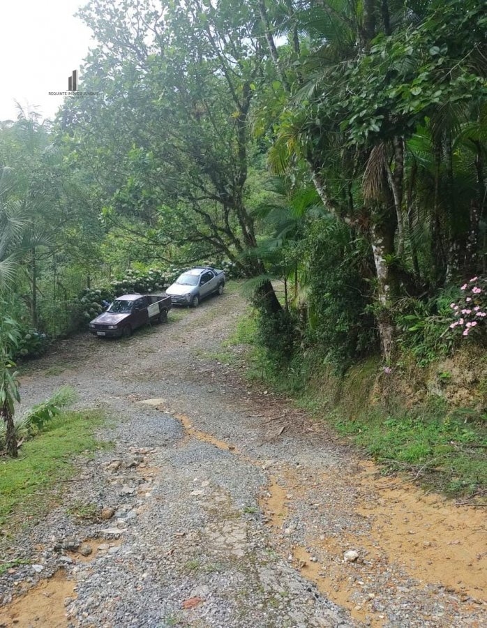 Fazenda à venda com 4 quartos, 48000m² - Foto 5