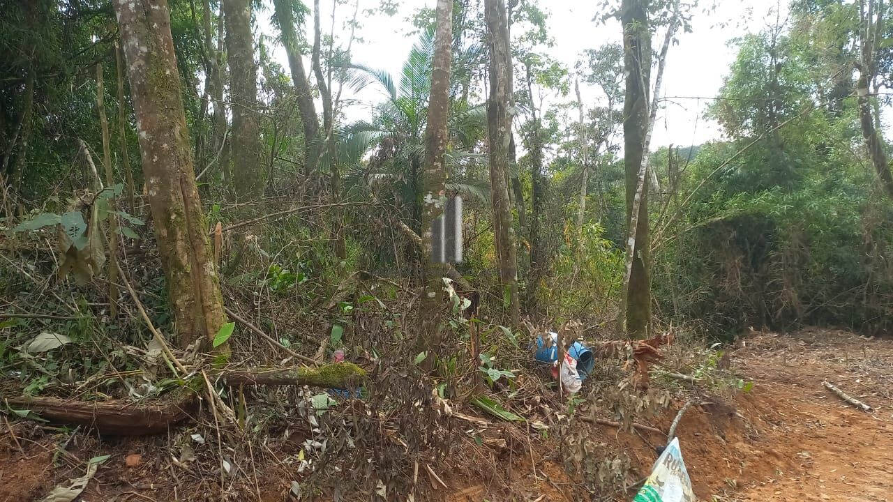 Terreno à venda, 20000m² - Foto 7