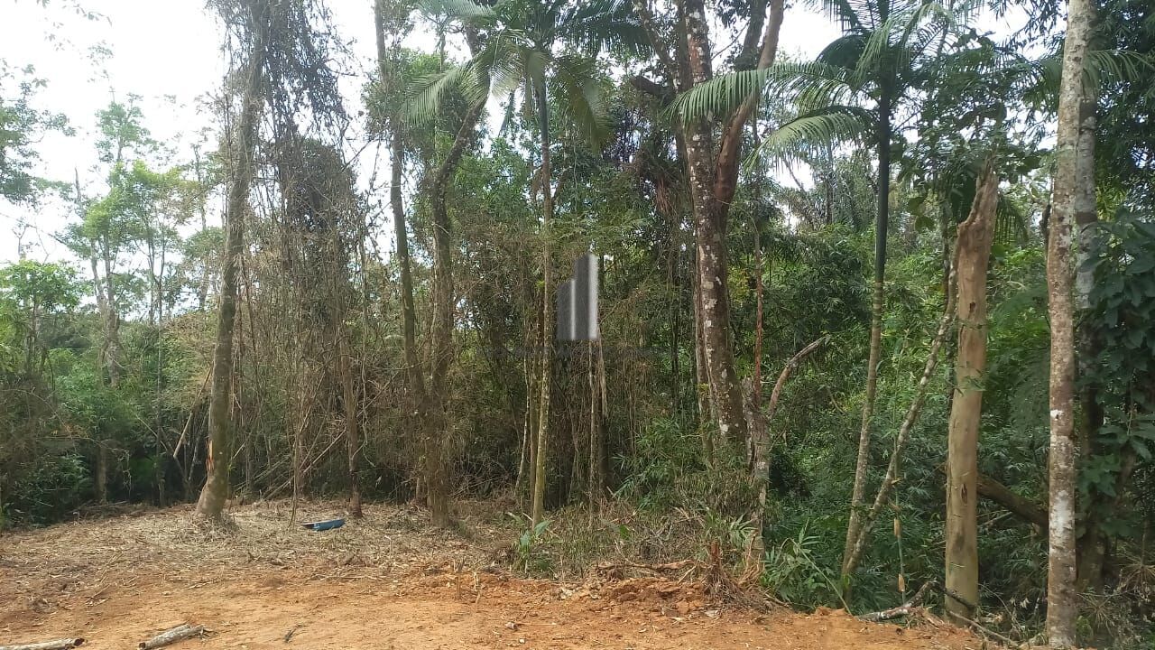 Terreno à venda, 20000m² - Foto 3