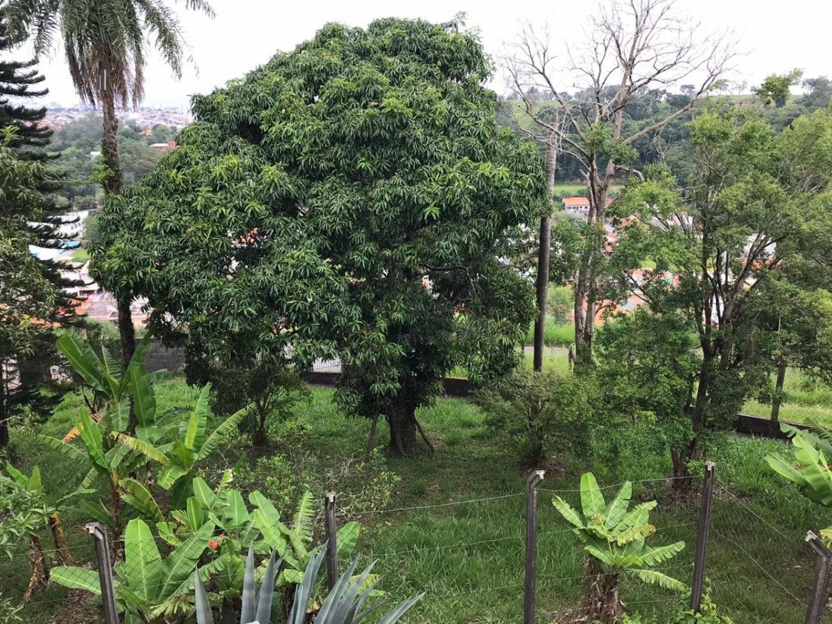 Fazenda à venda com 7 quartos, 756m² - Foto 25