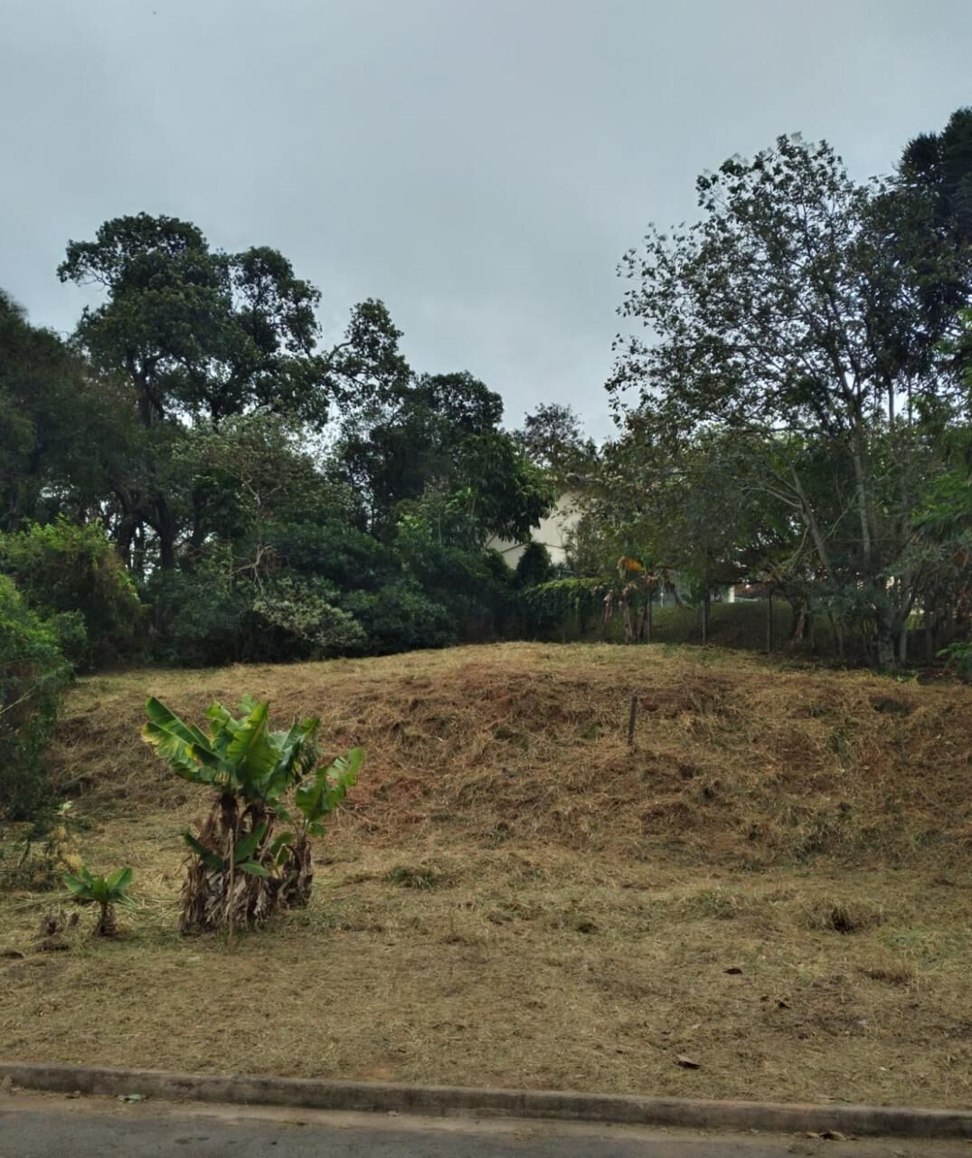 Terreno à venda, 1569m² - Foto 2