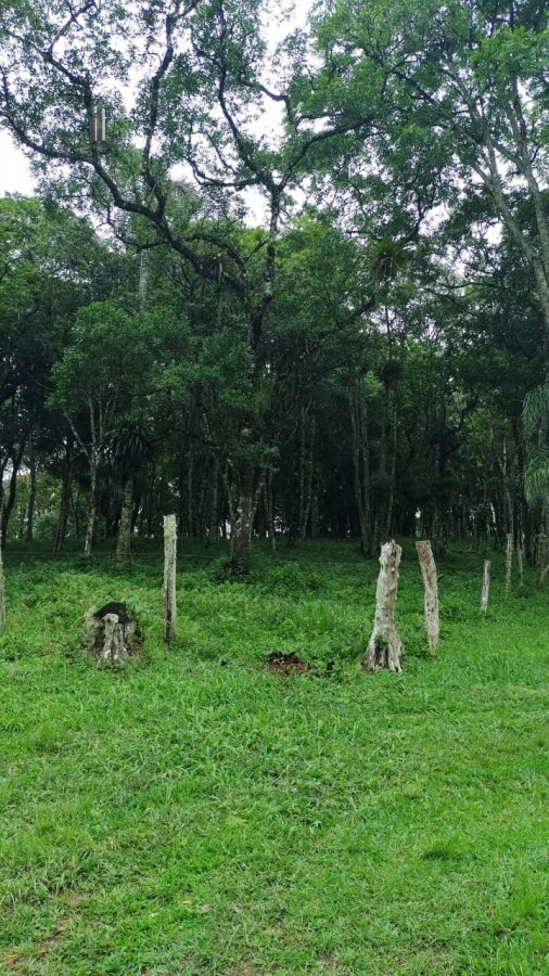 Fazenda à venda com 4 quartos, 145200m² - Foto 24