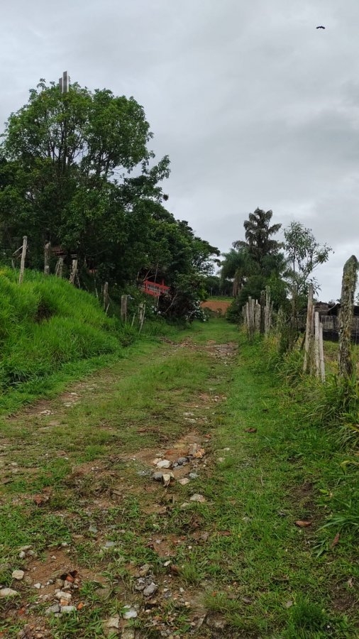 Fazenda à venda com 4 quartos, 145200m² - Foto 5