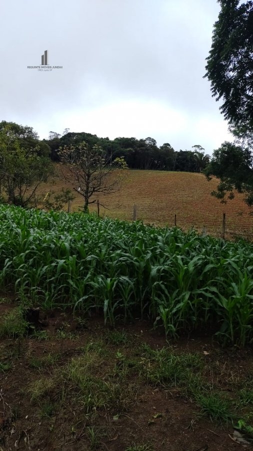 Fazenda à venda com 4 quartos, 145200m² - Foto 27