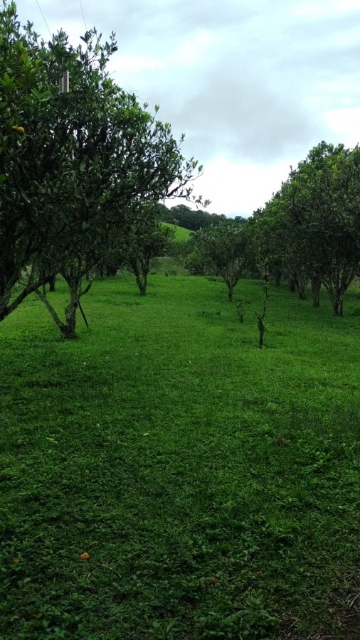 Fazenda à venda com 4 quartos, 145200m² - Foto 18