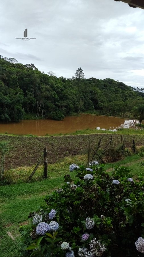 Fazenda à venda com 4 quartos, 145200m² - Foto 6