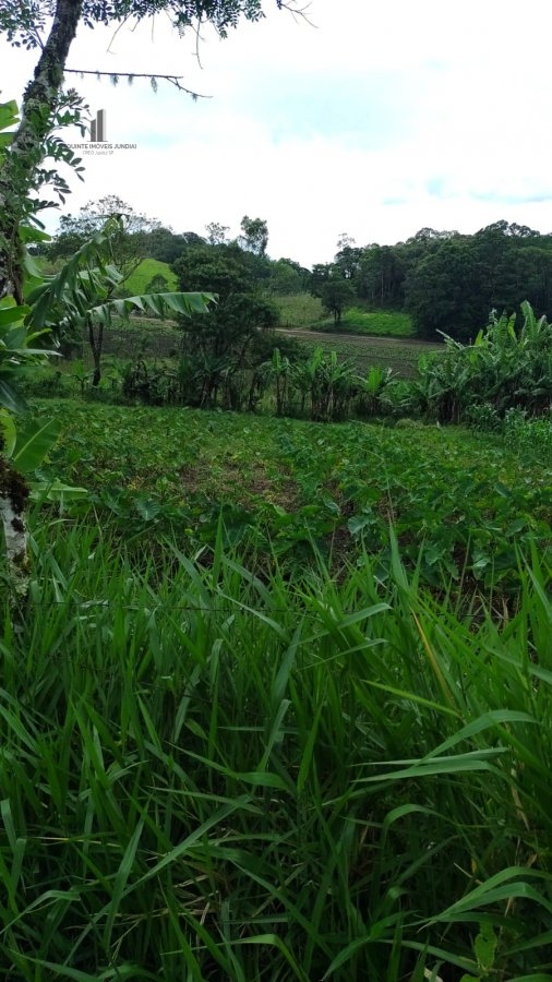 Fazenda à venda com 4 quartos, 145200m² - Foto 10