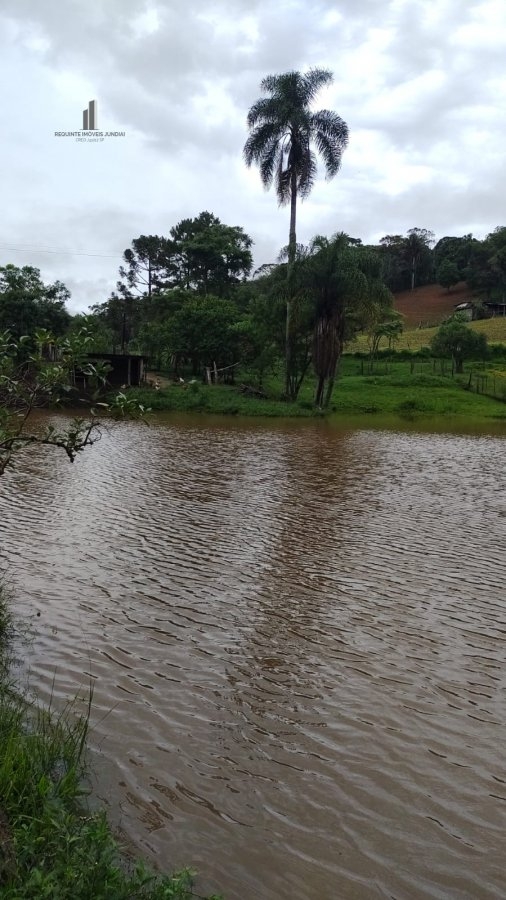 Fazenda à venda com 4 quartos, 145200m² - Foto 23