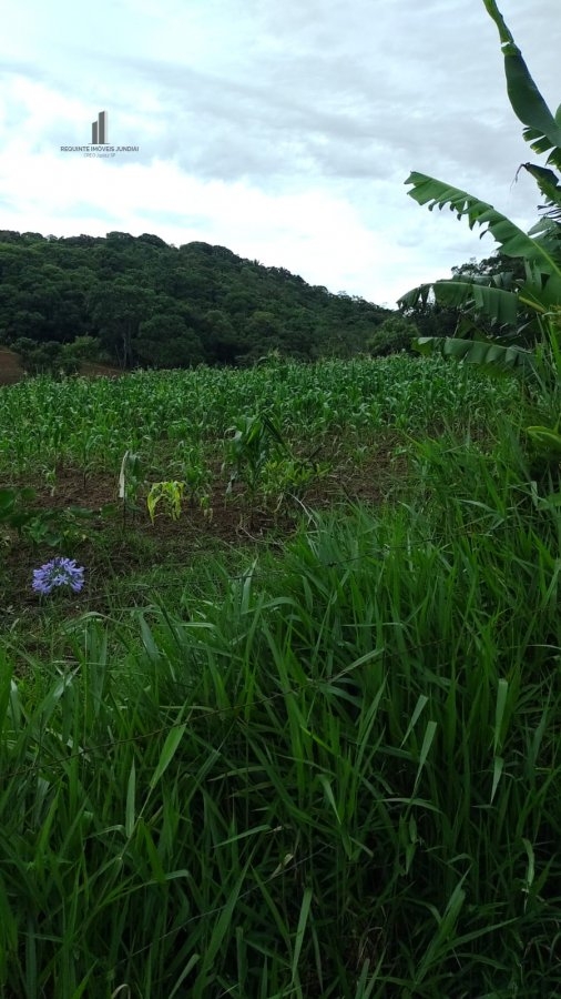 Fazenda à venda com 4 quartos, 145200m² - Foto 9