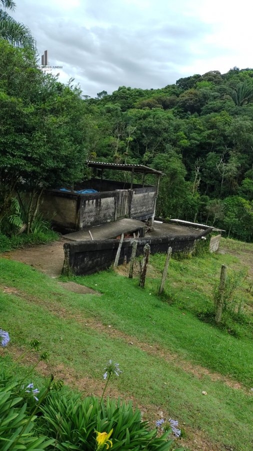 Fazenda à venda com 4 quartos, 145200m² - Foto 4