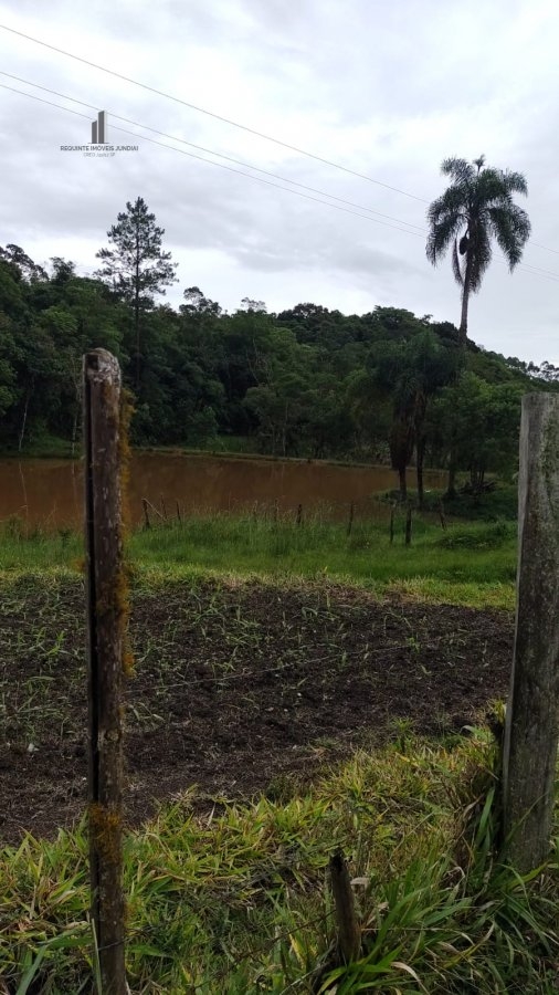 Fazenda à venda com 4 quartos, 145200m² - Foto 7