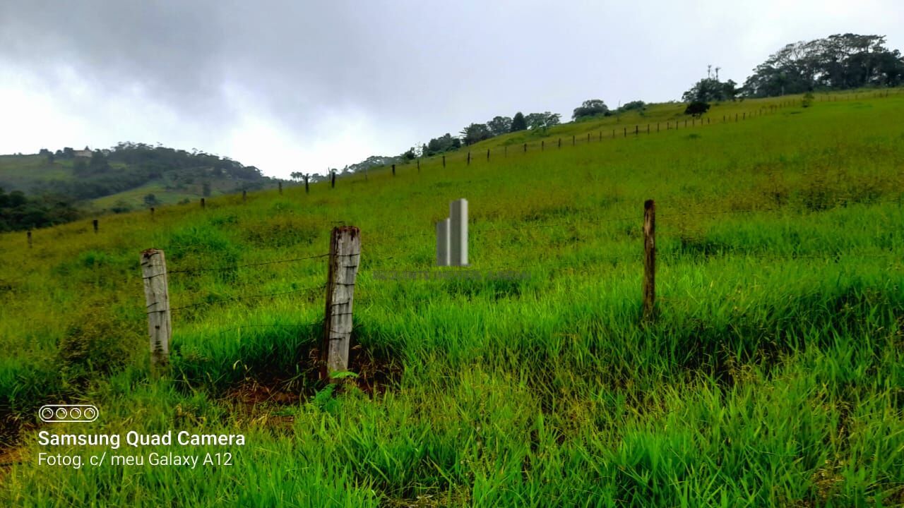 Fazenda à venda, 39000m² - Foto 15