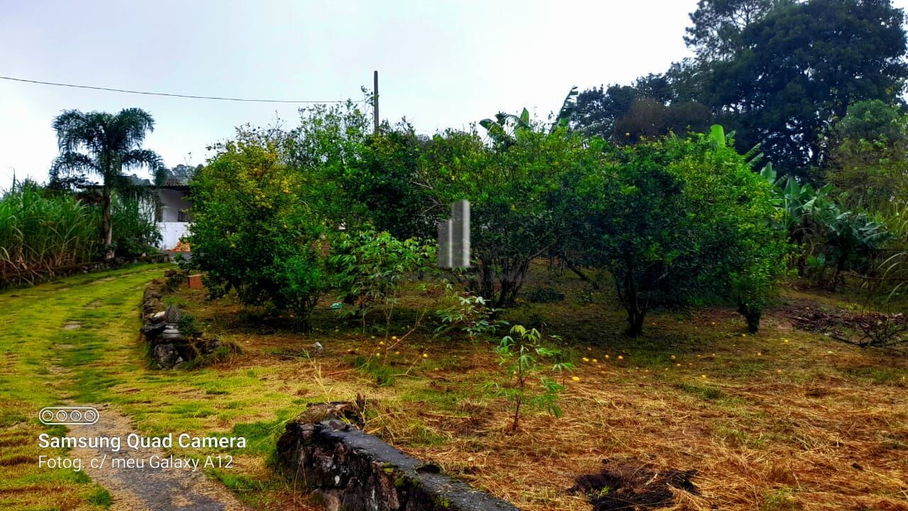 Fazenda à venda, 39000m² - Foto 8