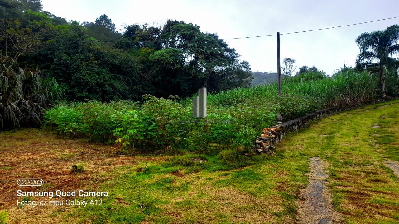 Fazenda à venda, 39000m² - Foto 3