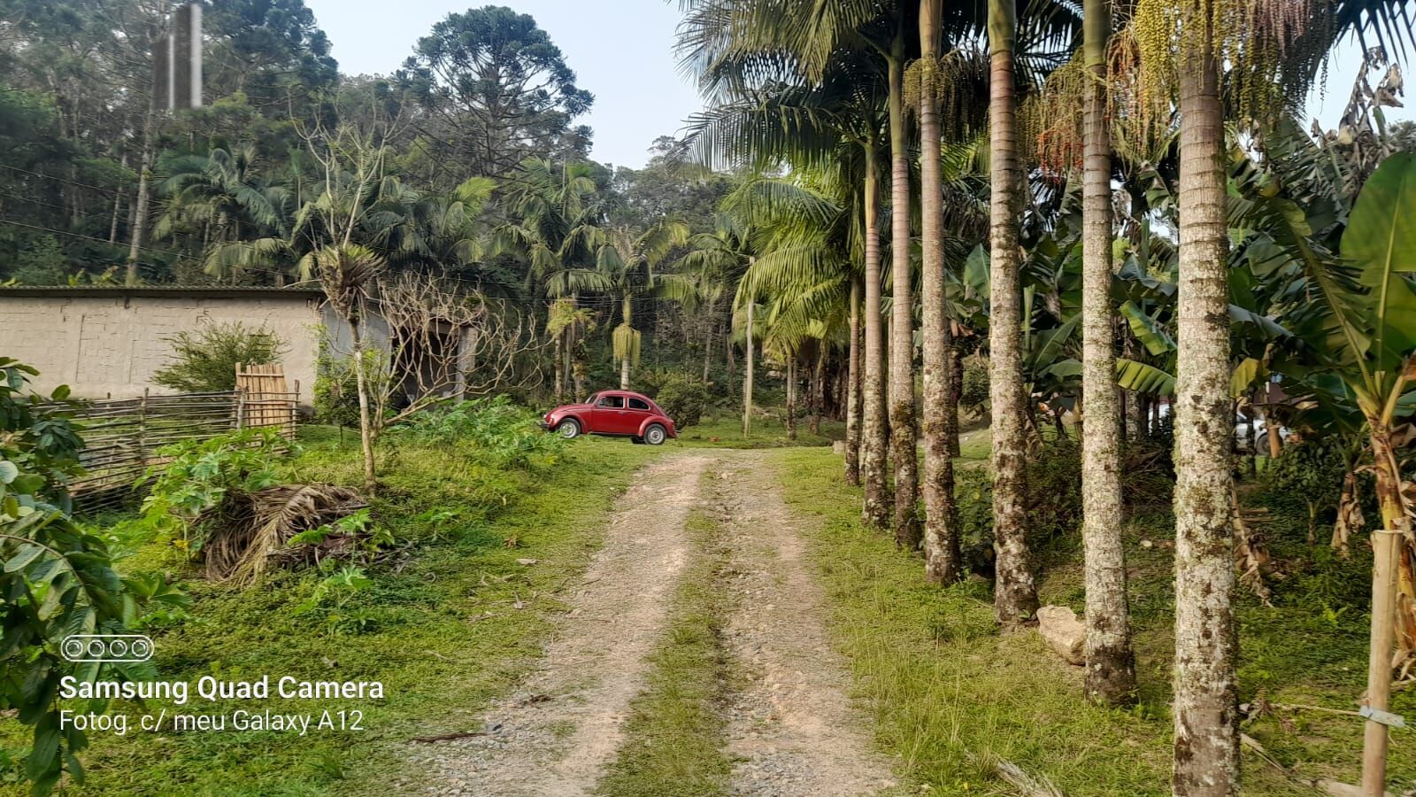 Fazenda à venda com 3 quartos, 242000m² - Foto 24