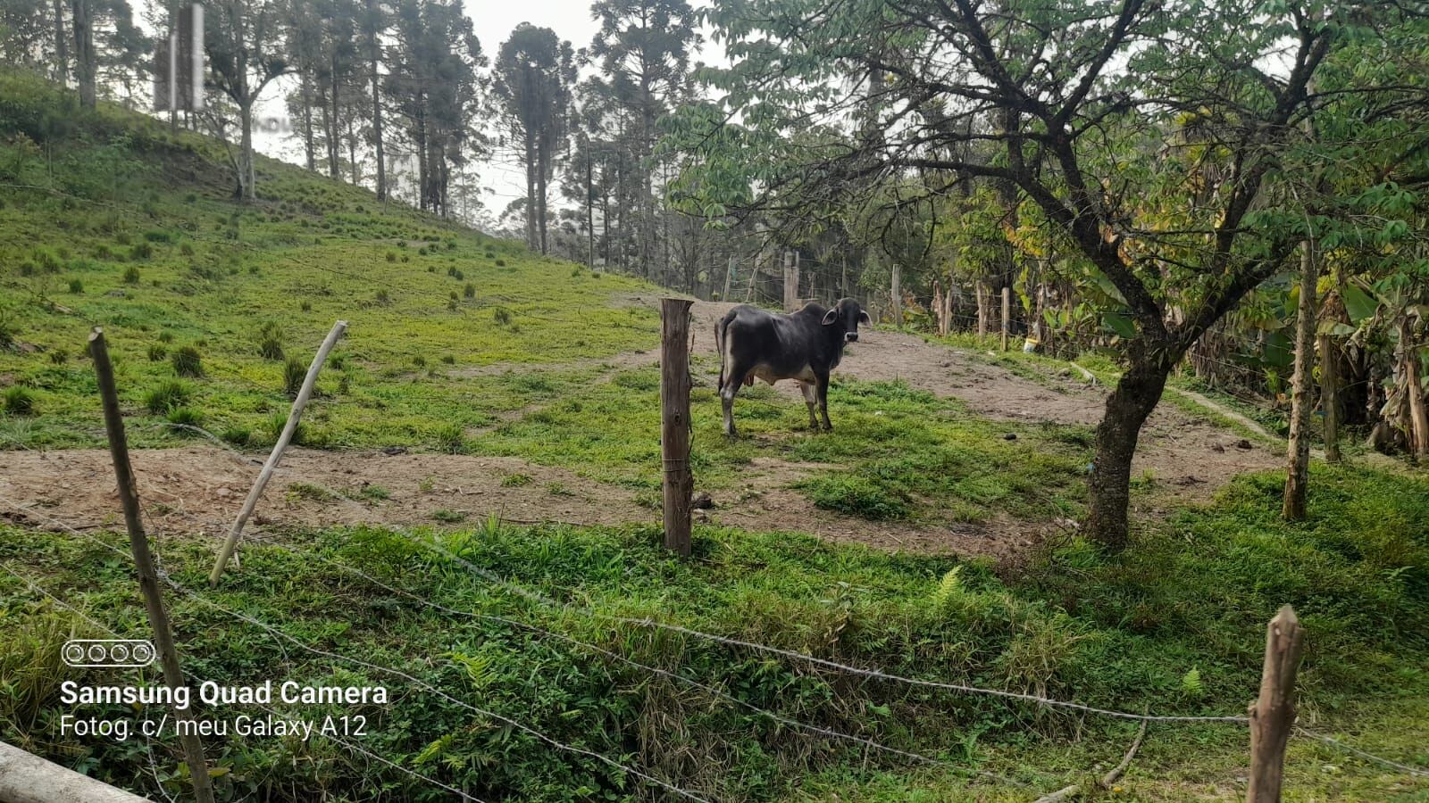 Fazenda à venda com 3 quartos, 242000m² - Foto 40