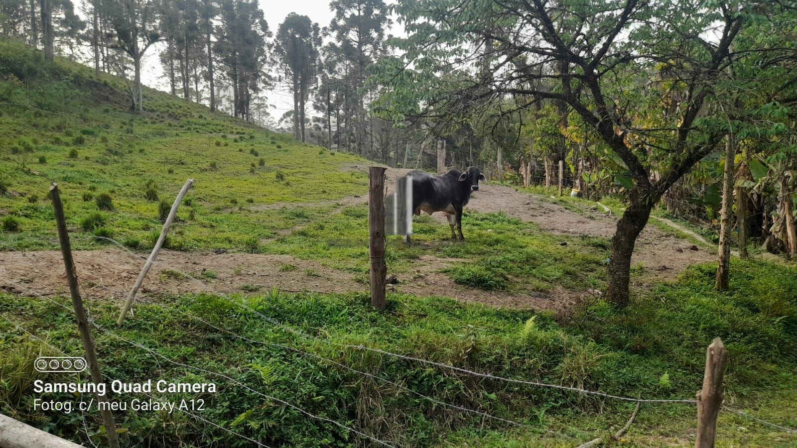 Fazenda à venda com 3 quartos, 242000m² - Foto 40