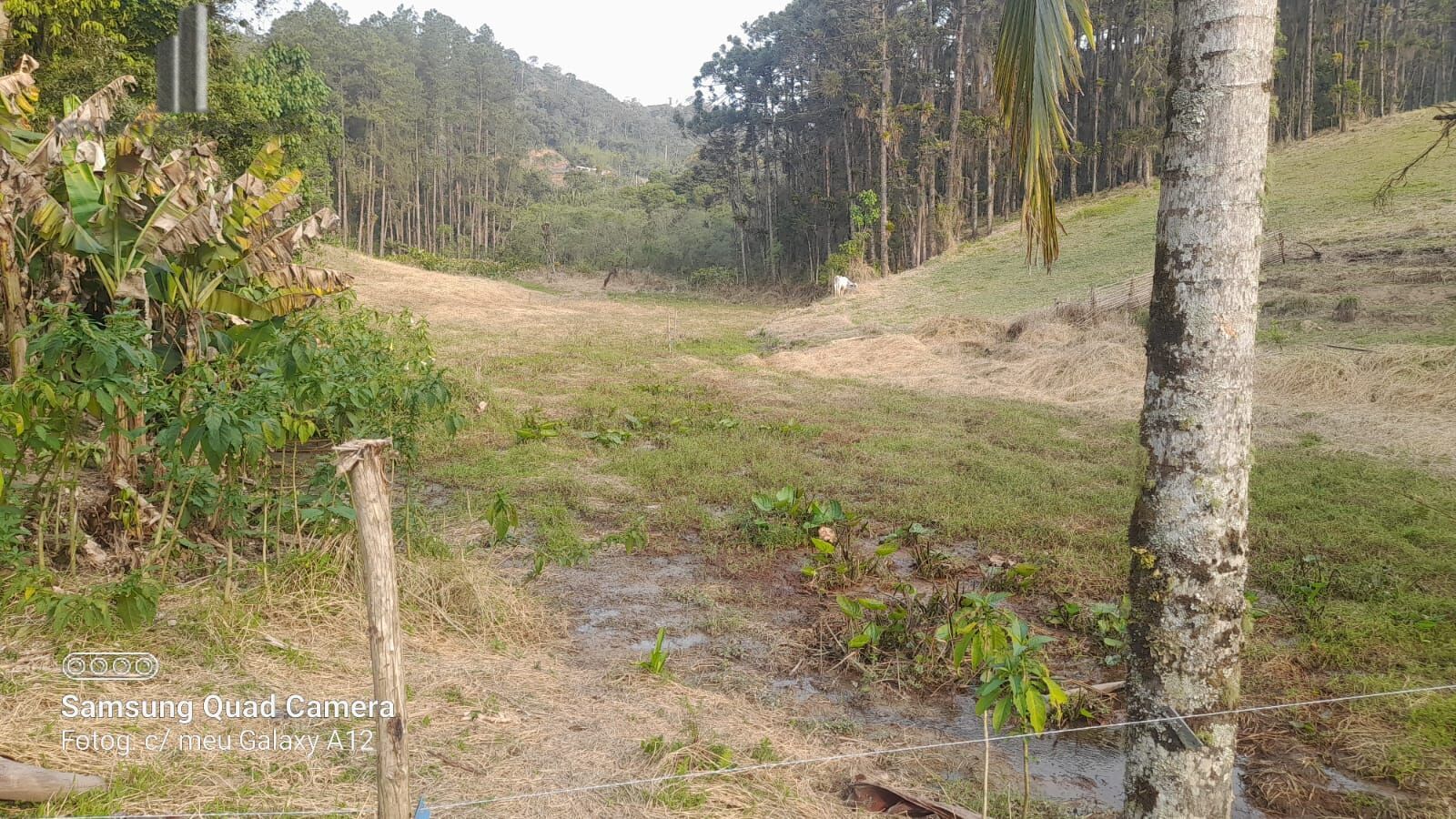 Fazenda à venda com 3 quartos, 242000m² - Foto 46