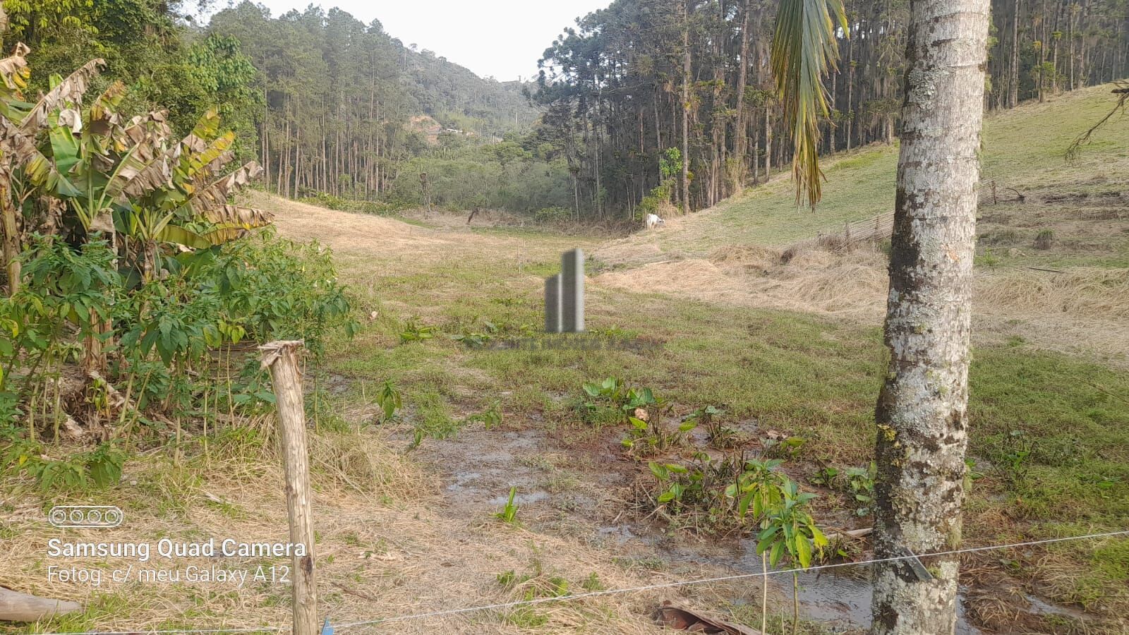 Fazenda à venda com 3 quartos, 242000m² - Foto 46