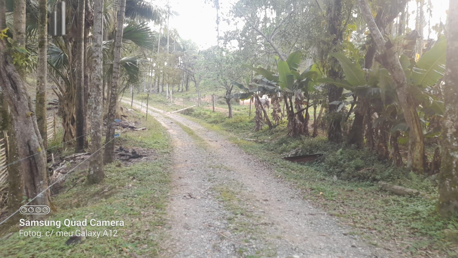 Fazenda à venda com 3 quartos, 242000m² - Foto 44