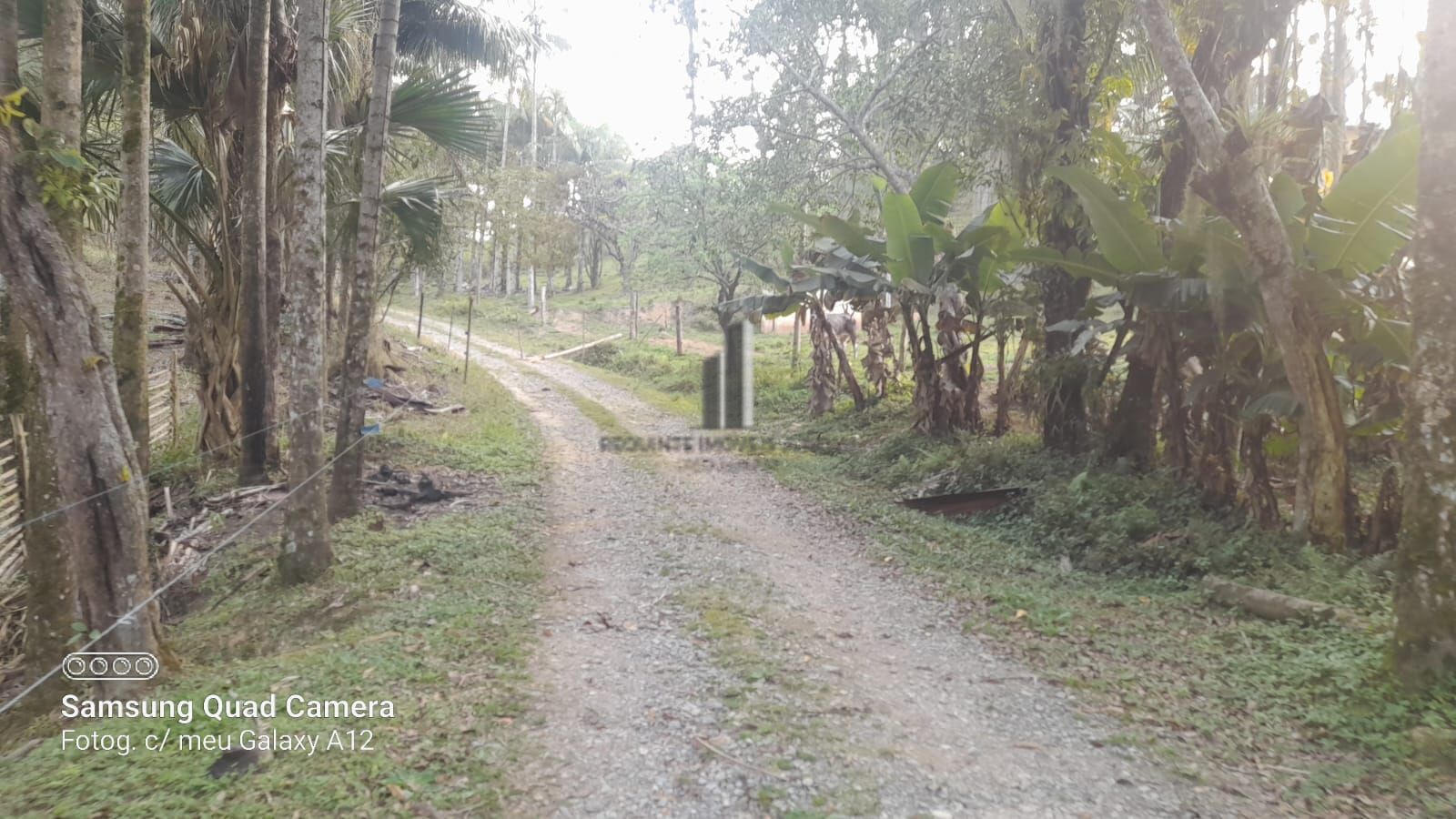 Fazenda à venda com 3 quartos, 242000m² - Foto 44