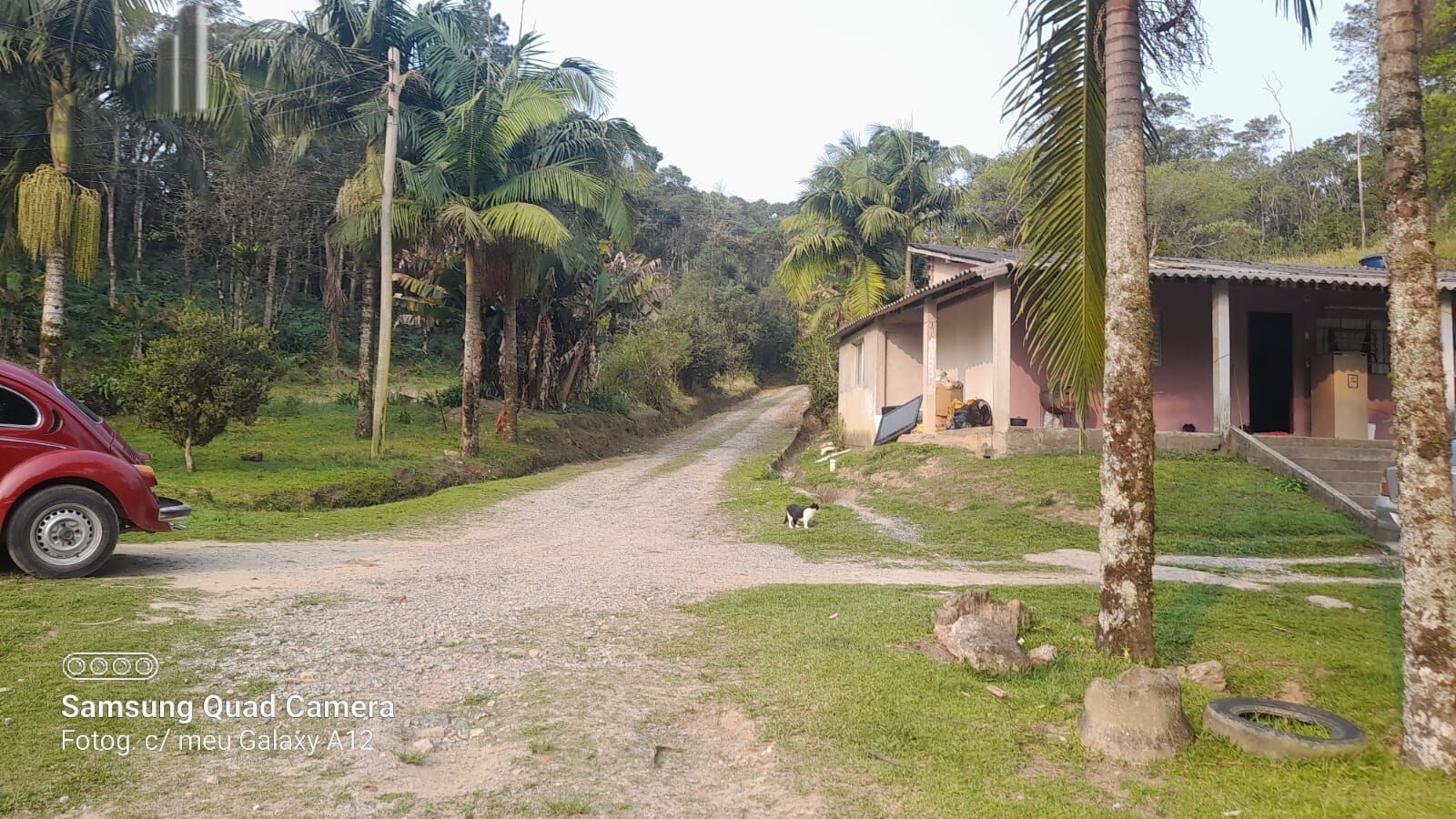 Fazenda à venda com 3 quartos, 242000m² - Foto 26