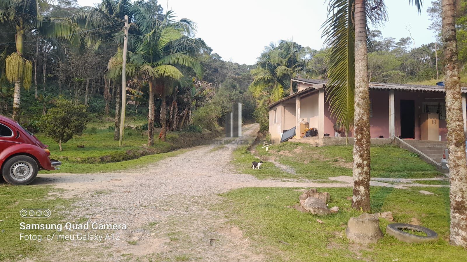 Fazenda à venda com 3 quartos, 242000m² - Foto 26