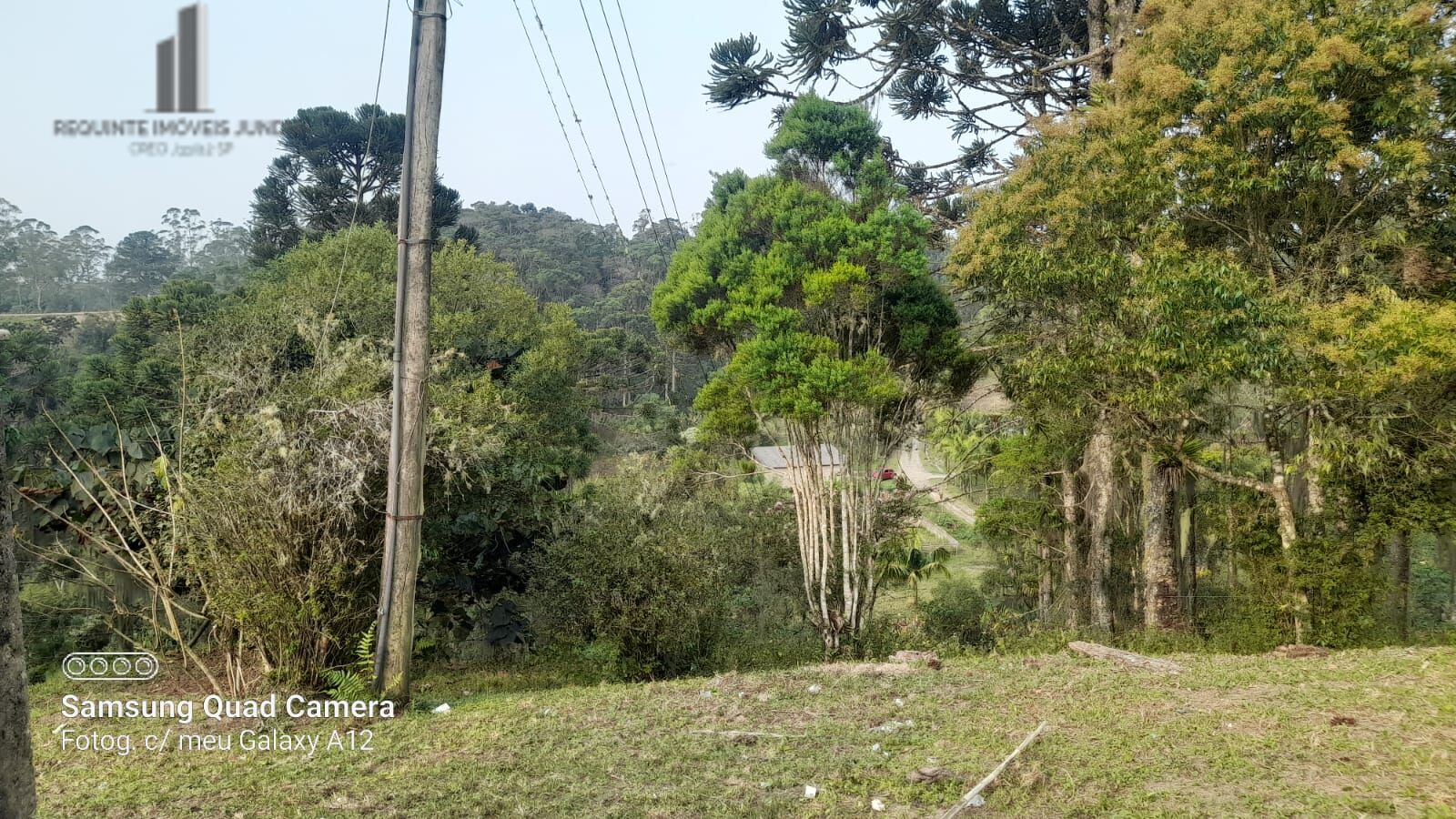 Fazenda à venda com 3 quartos, 242000m² - Foto 38