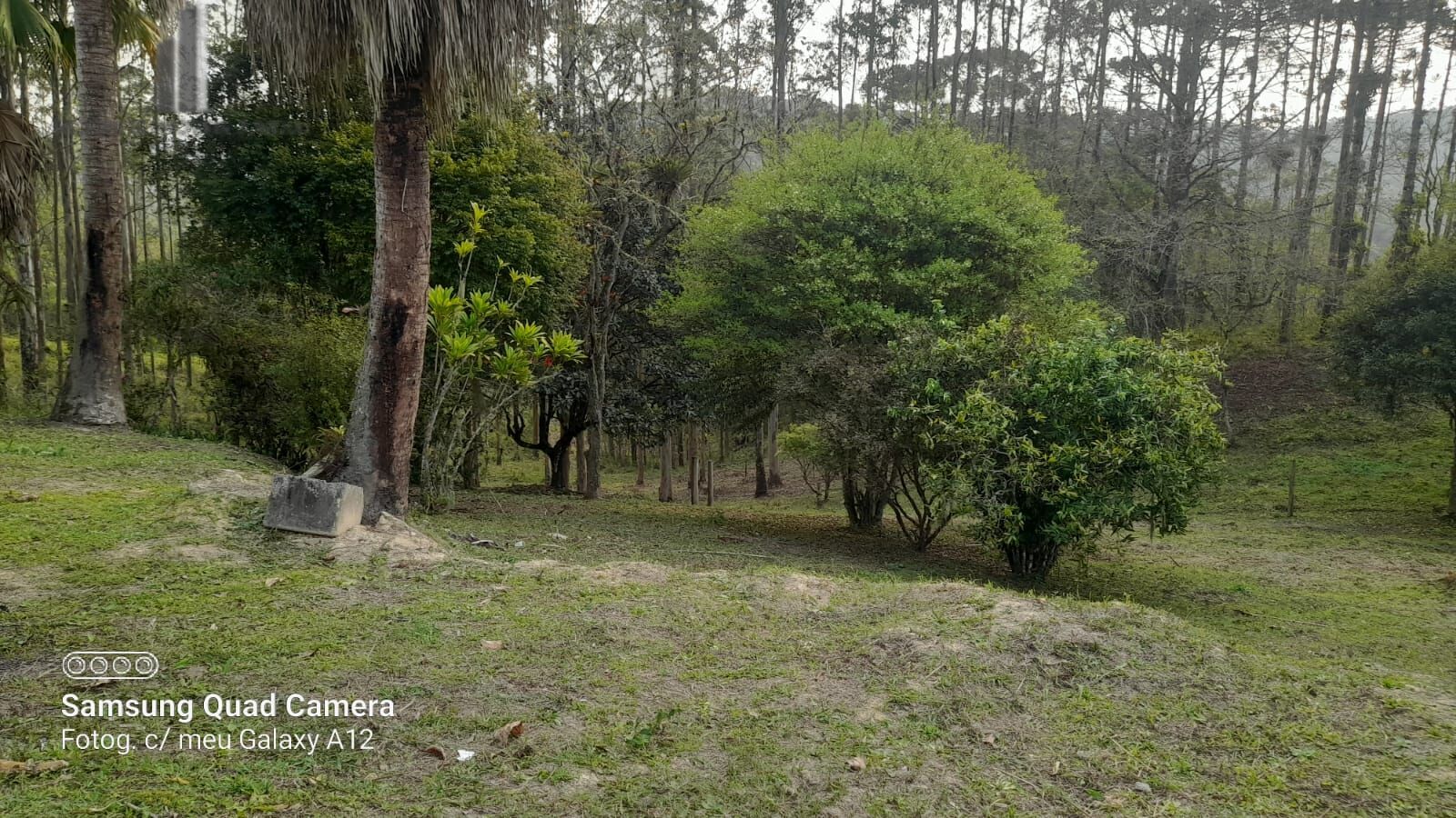 Fazenda à venda com 3 quartos, 242000m² - Foto 36