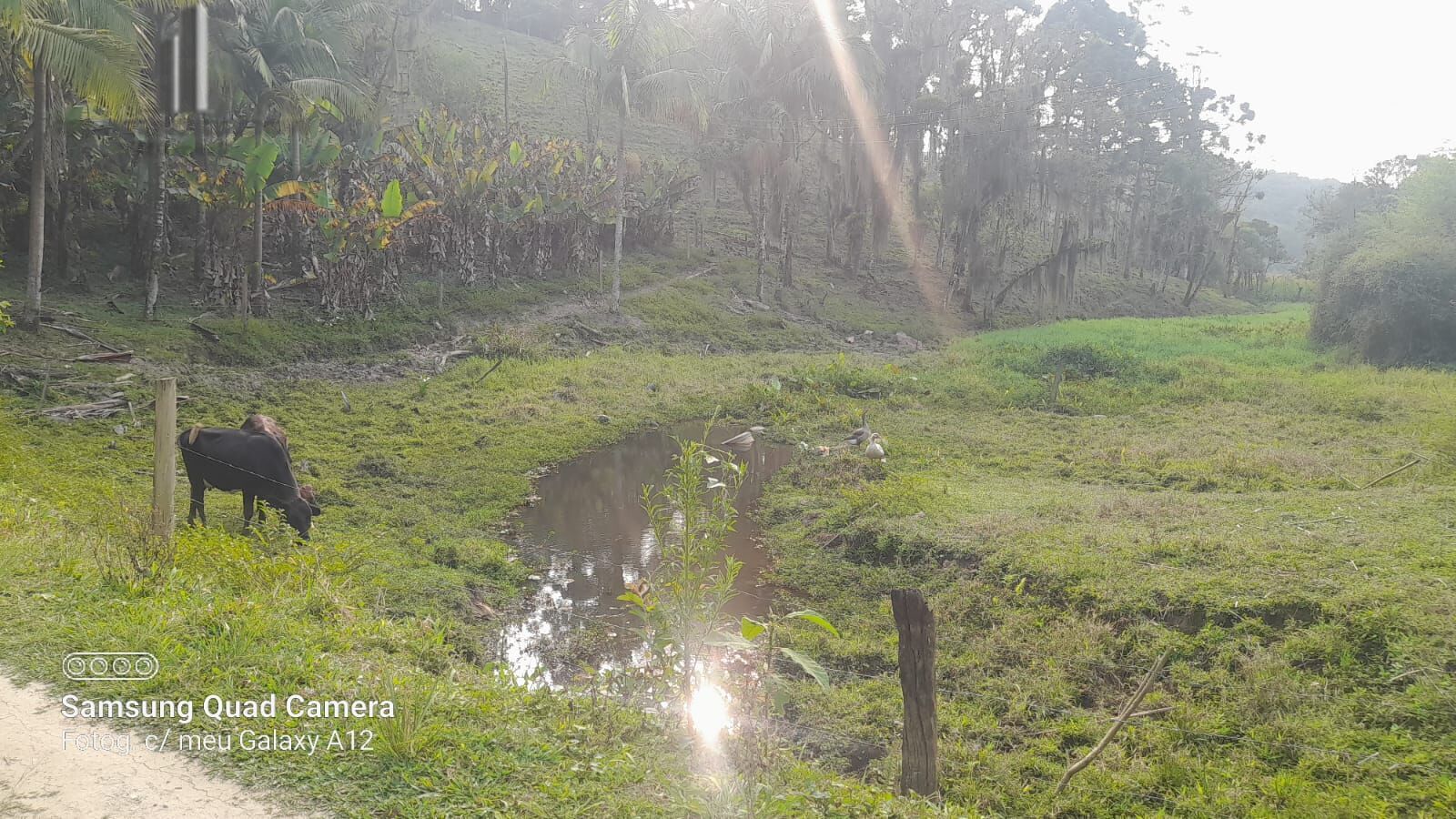 Fazenda à venda com 3 quartos, 242000m² - Foto 25