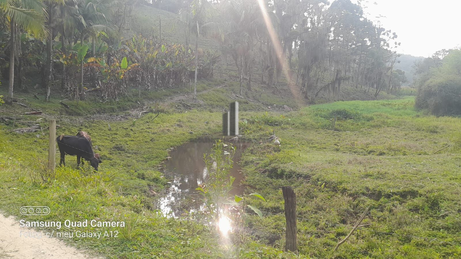 Fazenda à venda com 3 quartos, 242000m² - Foto 25