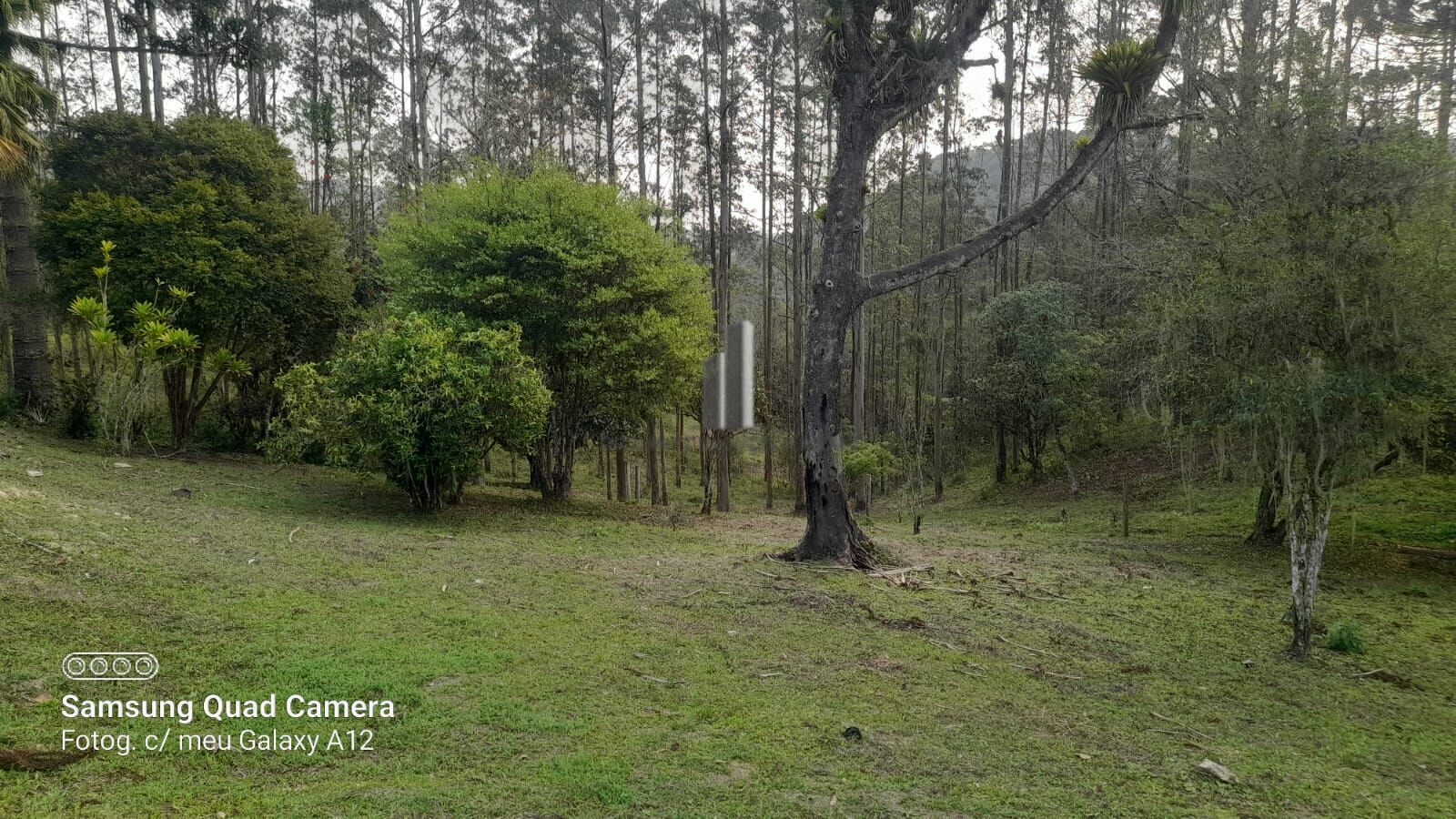 Fazenda à venda com 3 quartos, 242000m² - Foto 33