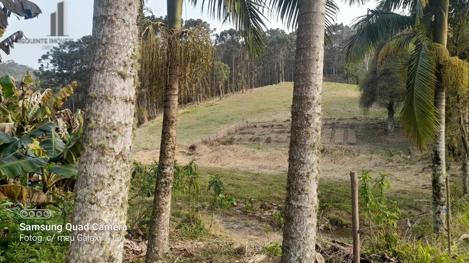 Fazenda à venda com 3 quartos, 242000m² - Foto 43