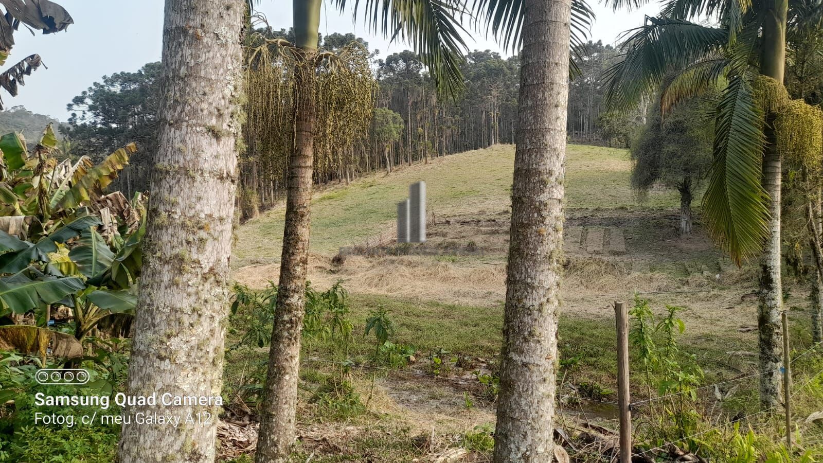 Fazenda à venda com 3 quartos, 242000m² - Foto 43