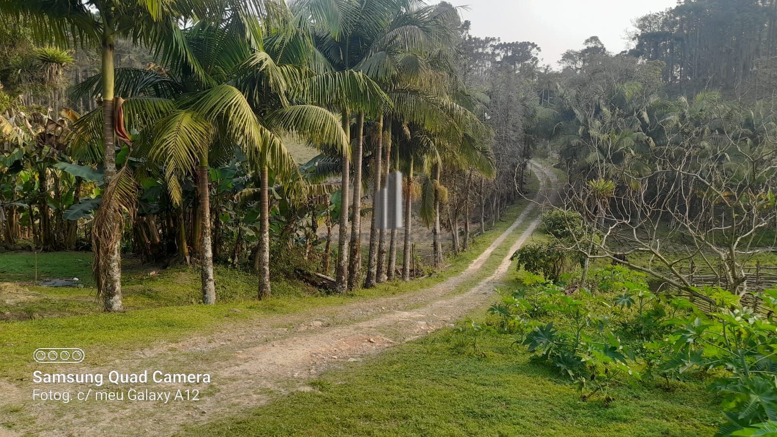 Fazenda à venda com 3 quartos, 242000m² - Foto 23