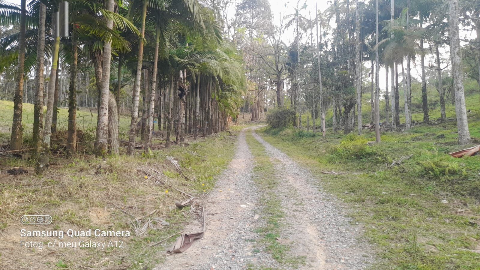 Fazenda à venda com 3 quartos, 242000m² - Foto 42